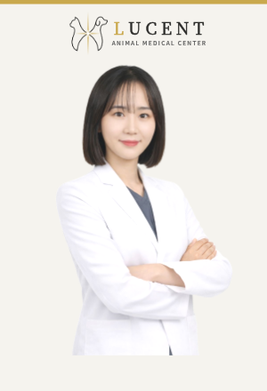 김희수