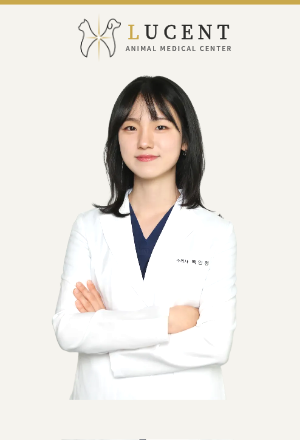백인정