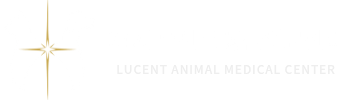 24시 루센트 동물의료센터